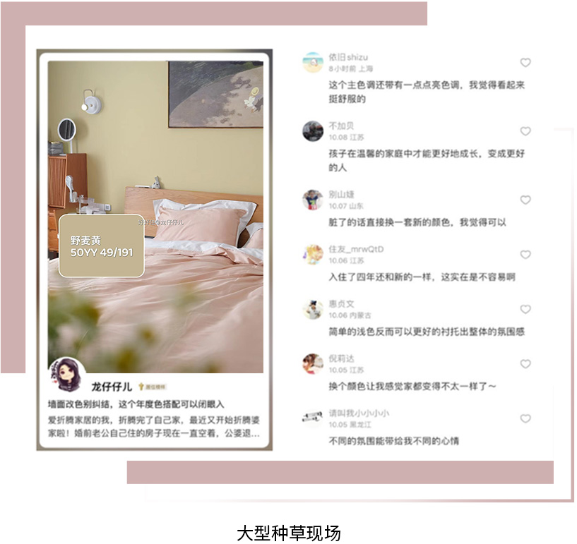 China home color